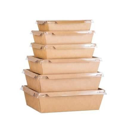 Compostable Kraft Paper Takeout Containers With Clear PET Lids